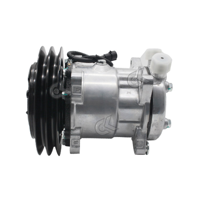 Picture of One-way swinging disc type fixed displacement compressor