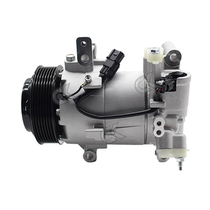 Picture of Hollow piston type variable displacement compressor volume compressor