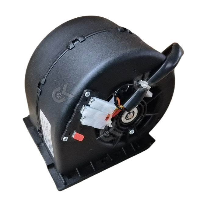 ZHF281301