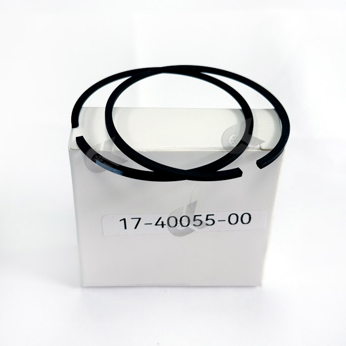 17-40055-00